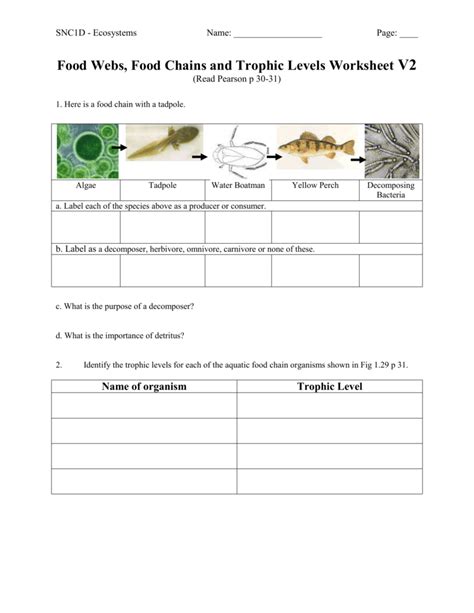 Food Webs, Food Chains and Trophic Levels Worksheet V2