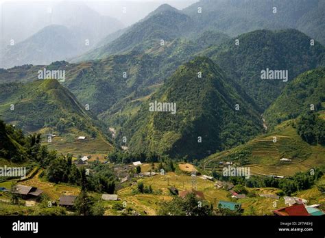 Rice fields in Sapa (North Vietnam Stock Photo - Alamy