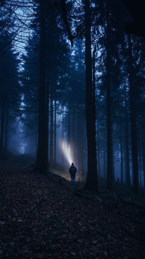 Dark Forest iPhone Wallpaper | Dark forest, Dark forest aesthetic ...