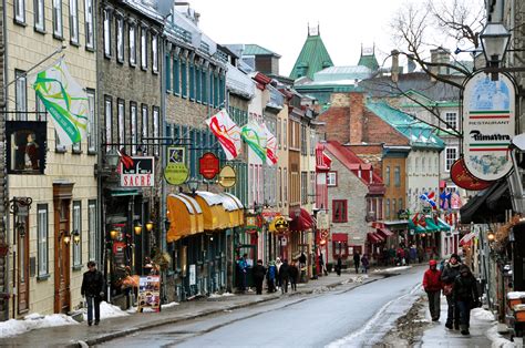 Coffee Mavericks in Old Québec