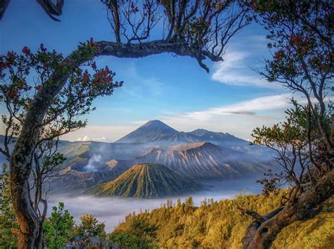 Yuk Ke Wisata Gunung Bromo, Destinasi Impian bagi Kamu Si Pecinta Alam ...