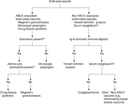 ANCA Vasculitis & ANCA Associated Vasculitis Symptoms, Treatment