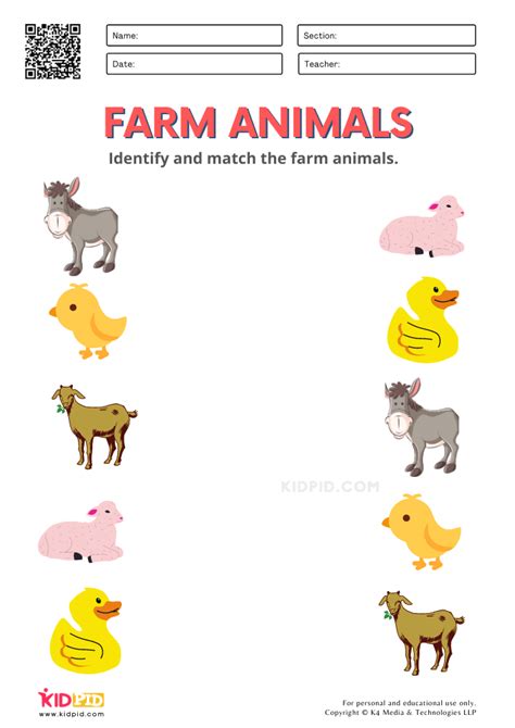 Farm Animals Worksheets for Kindergarten - Kidpid | Animal worksheets ...