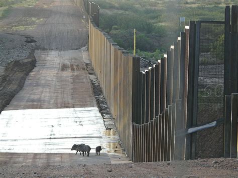 2,500 Scientists Warn Against the Border Wall's Huge Environmental Cost ...