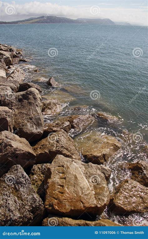 Fossils: Lyme Regis Fossils