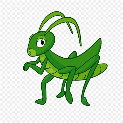 Green Grasshopper PNG, Vector, PSD, and Clipart With Transparent ...