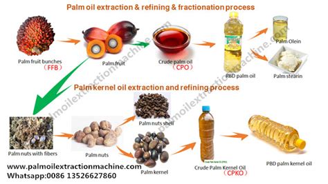 What machines were used in palm oil processing process?_FAQ