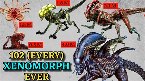 Alien Xenomorph Types