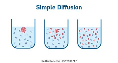 Diffusion Diagram