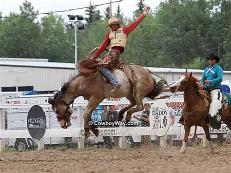 Cheyenne Frontier Days Saddle Bronc Riding Photos - Page 1 of 2