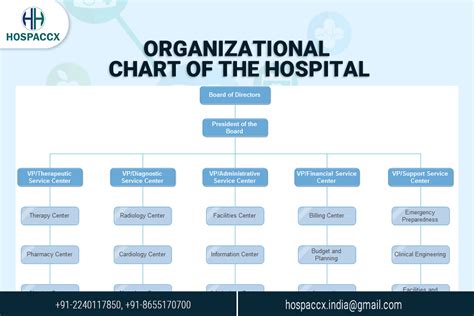 Organizational Chart Of The Hospital | Contact Us Now #1