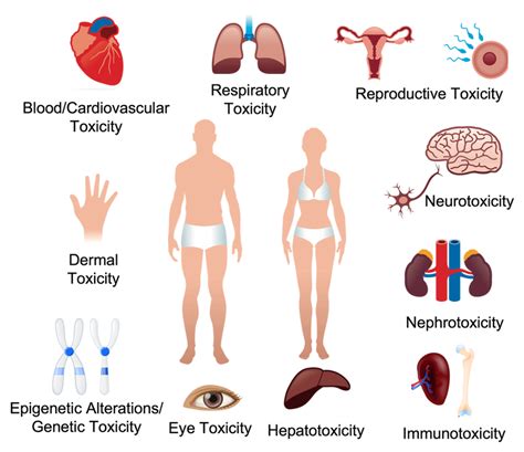 Welcome to ToxTutor - Toxicology MSDT