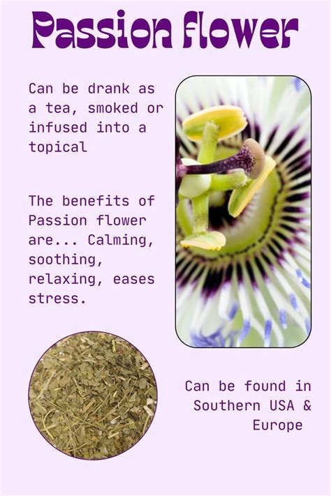 Passion flower | Herbal remedies recipes, Passion flower, Passion ...