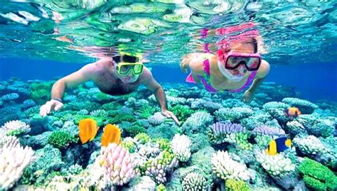 Snorkeling – An interesting experience when traveling Maldives ...