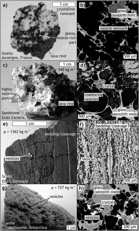 Appearance and structure of examples of frothy xenolith fragments ...