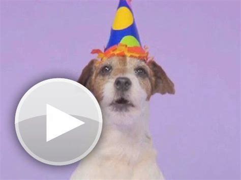 Dogs barking happy bday song Hey, checkout this animated gift card ...