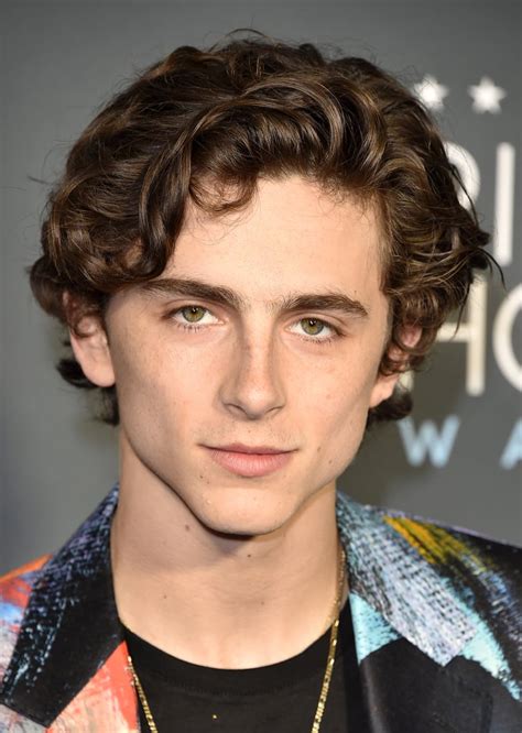 Hot Timothée Chalamet Pictures | POPSUGAR Celebrity Australia Photo 48