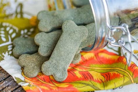 17 Healthy Homemade Pet Food Recipes And Treats | Homesteading