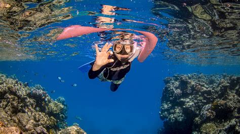 Snorkeling Coral Reef