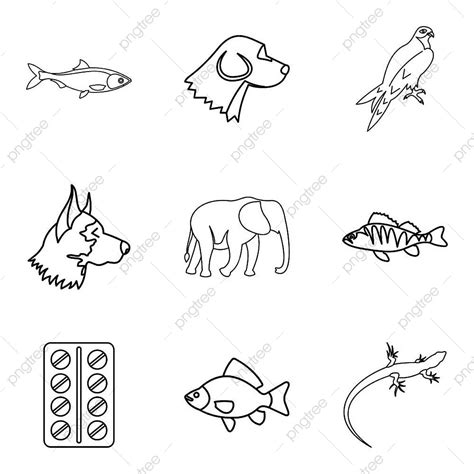 Animal Husbandry Icons Set, Cat, Illustration, Doctor PNG and Vector ...