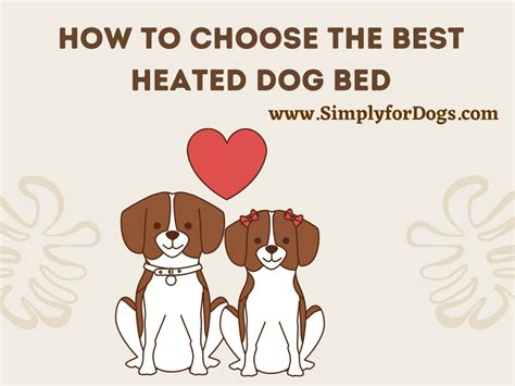 The Best Heated Dog Bed (All You Need to Know) - Simply For Dogs