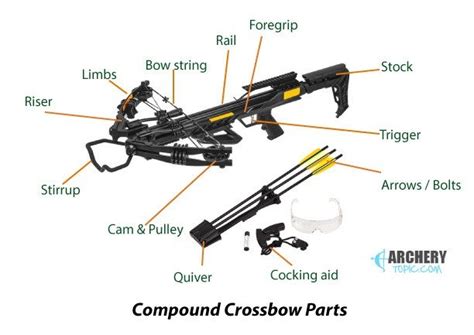 Anatomy Of A Crossbow (with Pictures)