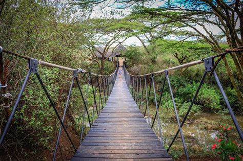 Nairobi National Park Safari Guide • Inside Kenya's Park