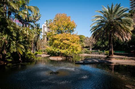 Brisbane City Botanic Gardens - Ed O'Keeffe Photography