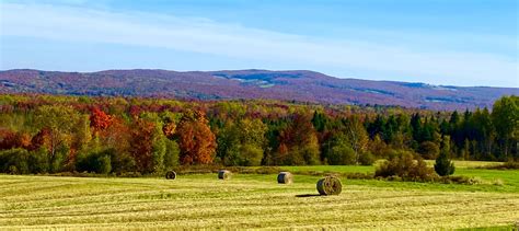 Fall foliage in the Northeast Kingdom - Barton Chronicle Newspaper