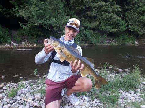 Huge walleye on the Grand River while pike fishing this past July. Didn ...