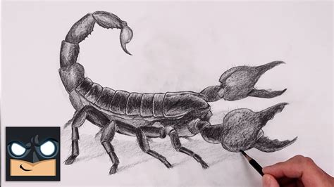 How To Draw A Scorpion Tail