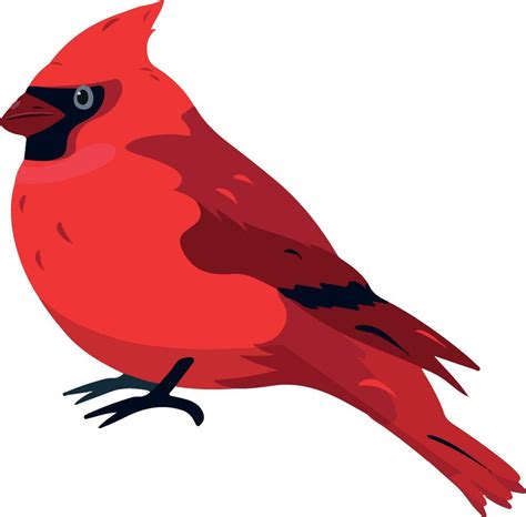 Cardinal Head Vector Art, Icons, and Graphics for Free Download