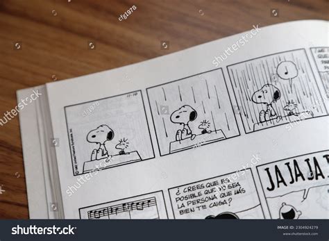 Snoopy Woodstock Comic Peanuts Charlie Brown Stock Photo 2304924279 ...