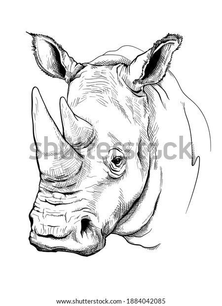 5,415 Rhino Sketch Images, Stock Photos & Vectors | Shutterstock