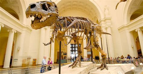 FREE Museum Visit for You and a Friend on September 23rd (Reserve ...