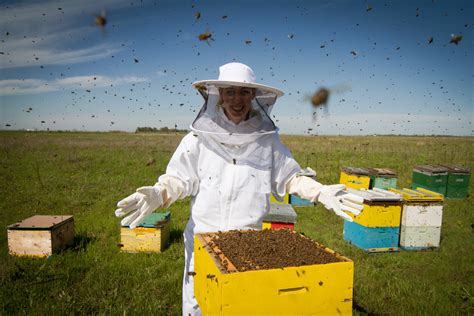 As pollination season begins, bees are taking no lunch breaks - Wild ...