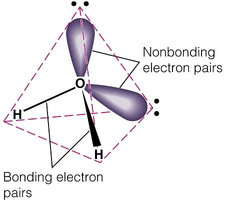 quantum mechanics - Bond Angles - H2O vs CO2 - Physics Stack Exchange