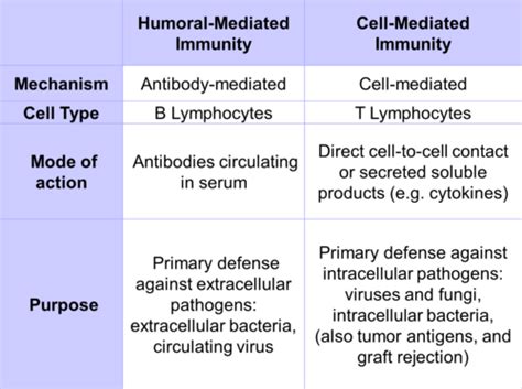 Humoral Immunity Vs Cell Mediated Immunity