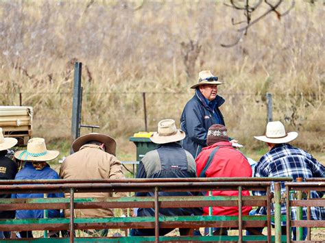 One man's farm dog school - The Farmer Magazine