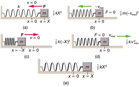 Periodic Motion | Boundless Physics | | Course Hero