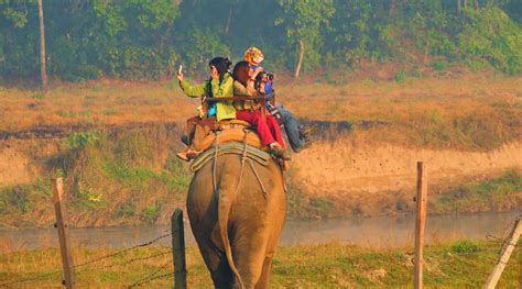 Chitwan National Park - A World Heritage Site in Nepal | Trip Ways