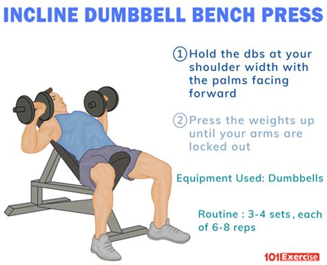 Incline Dumbbell Bench Press | 101Exercise.com