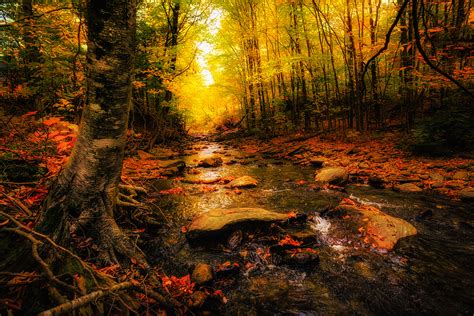 Photo pictures of the river, autumn