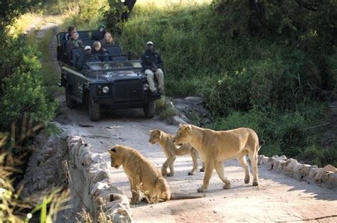 Kruger National Park Safaris & Tours | Safari in Kruger | Discover ...