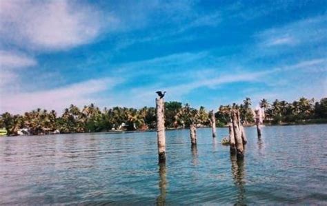 Kayamkulam Lake, alleppey, India - Top Attractions, Things to Do ...