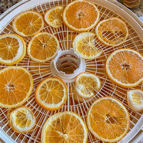 Dehydrated Oranges (dehydrator and oven directions) | Hilda's Kitchen Blog