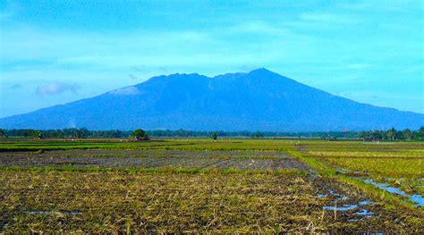 Mt. Isarog National Park | Visit Philippines by Travelindex