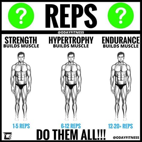 HOW MANY REPS TO BUILD MUSCLE? So, which one do you do if you want to ...