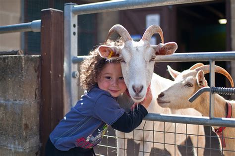 13 pictures of humans hugging animals that will make you feel better