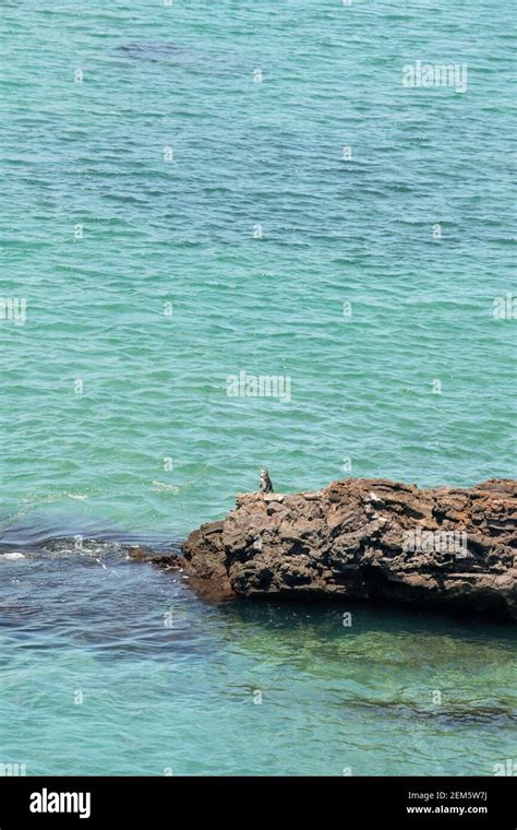 Bartolome Island, Galapagos. Bartolome Island is a volcanic islet in ...